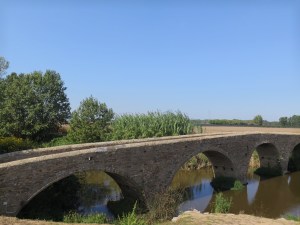Old bridge on day 23