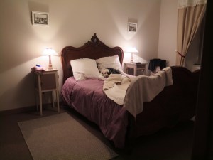 Chambre d`Hote in Le Pouzin - including dog